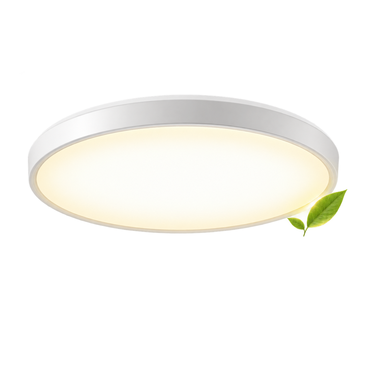 LED照明